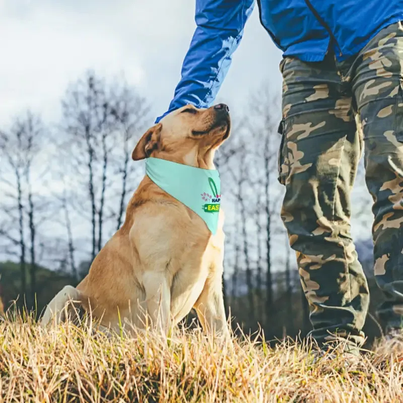 Easter Pet Scarves for Happy Pups in Mint Green and Light Blue