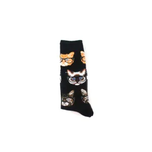 Socks Cat